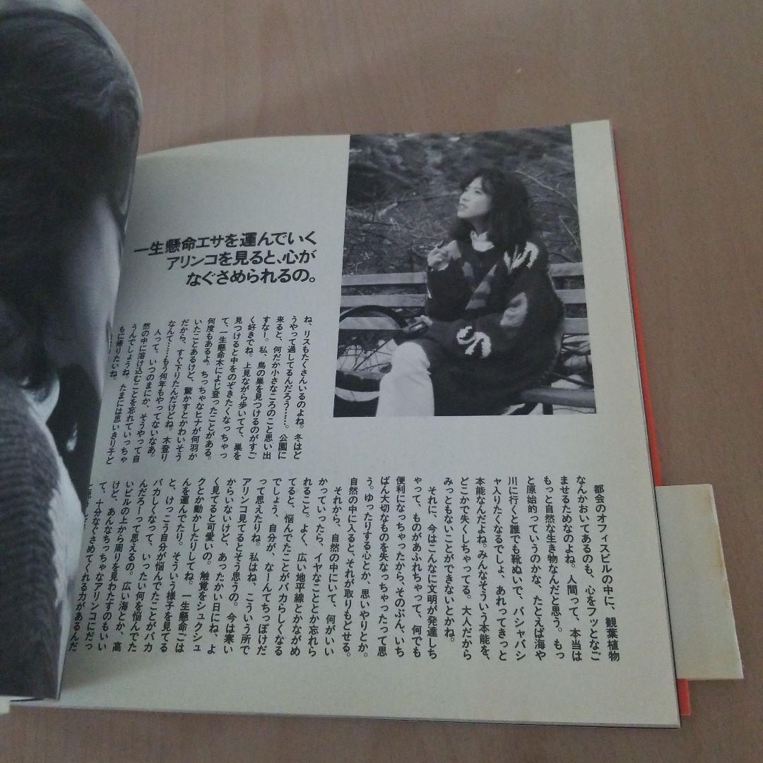 中森明菜エッセイwithフォト