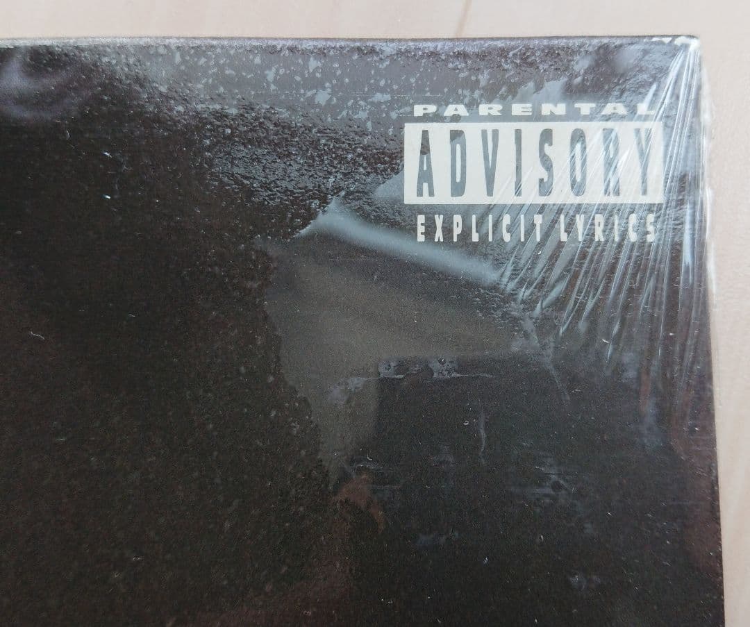 未開封 シールド ICE CUBE DAS EFX USオリジナル CHECK