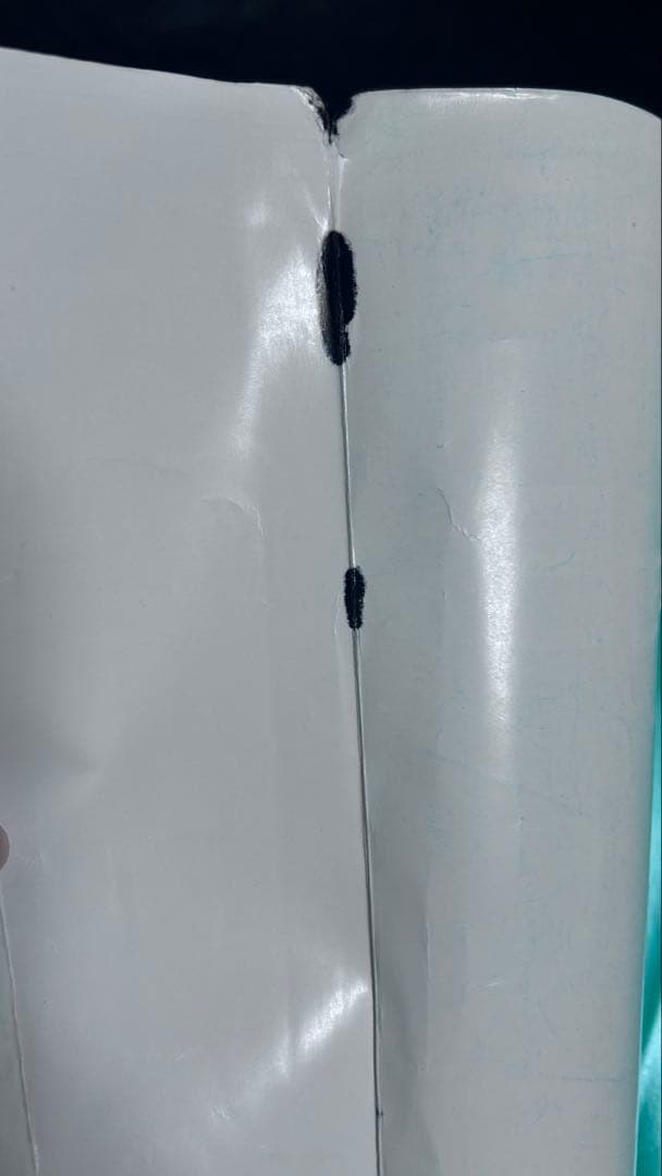 究める 日本史B 坂本勝義先生 難関大学 絶版