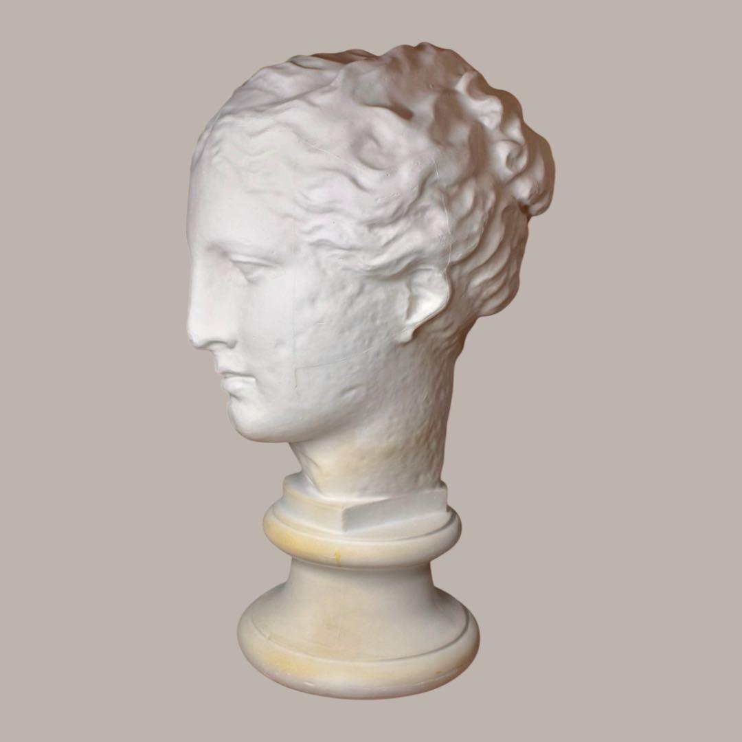 石膏像　古代ヴィーナス　アバタのヴィーナス　首像　デッサン