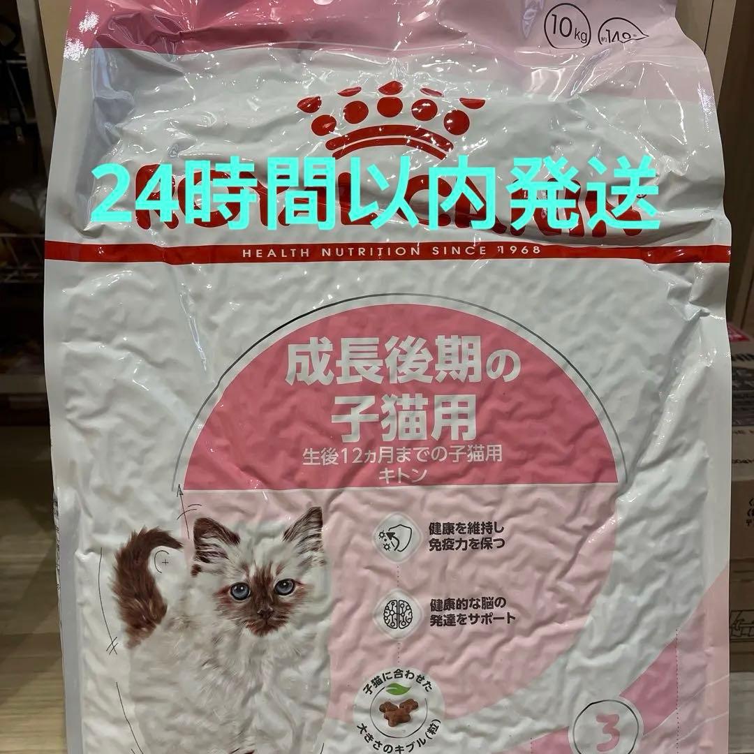 ロイヤルカナン  CANIN 成長後期の子猫用 10kg