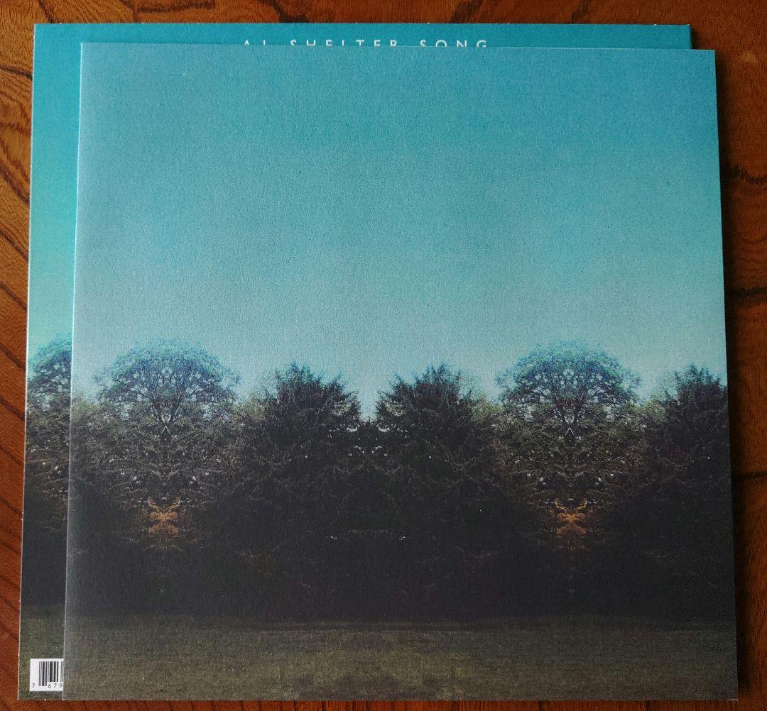 2枚まとめ　テンプルズ Temples LPレコード