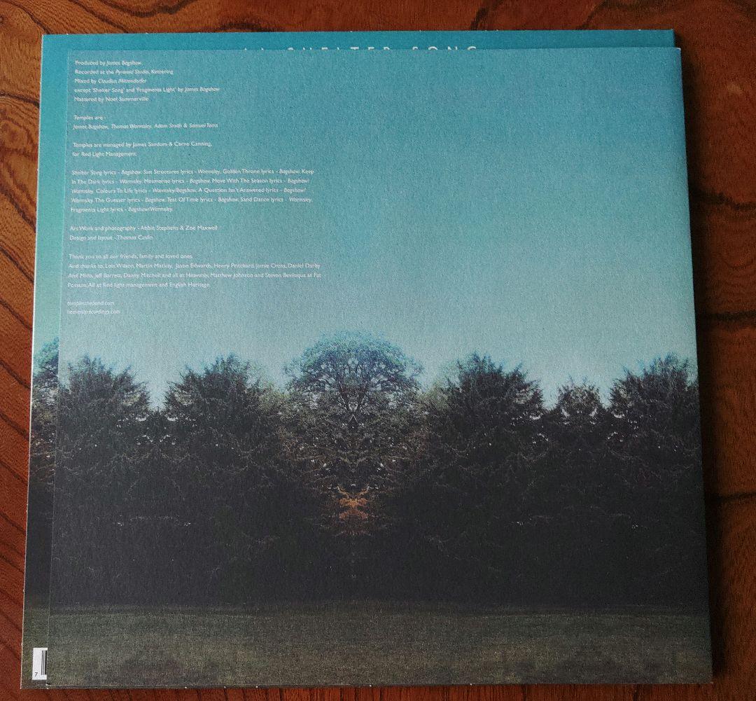 2枚まとめ　テンプルズ Temples LPレコード