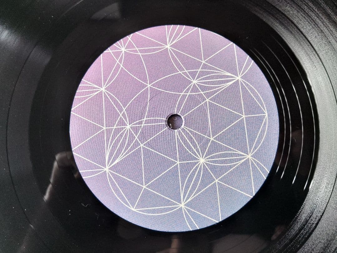 2枚まとめ　テンプルズ Temples LPレコード