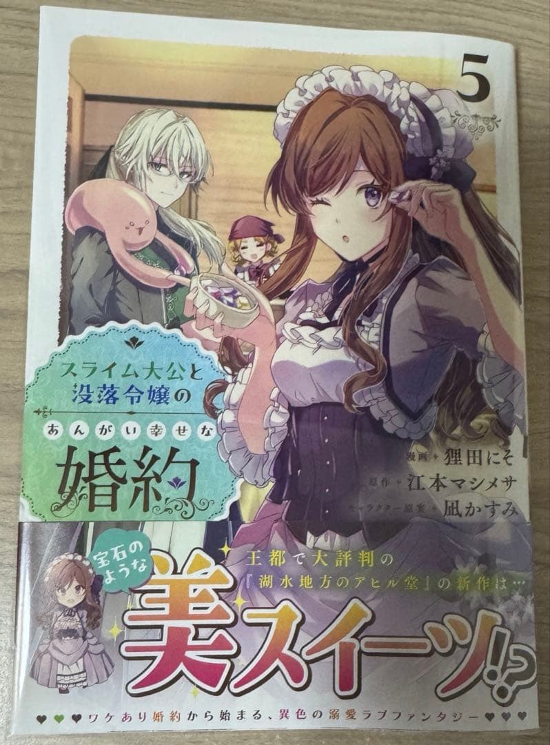 みぃー★ 呪われた仮面公爵に嫁いだ薄幸令嬢の掴んだ幸せ 他