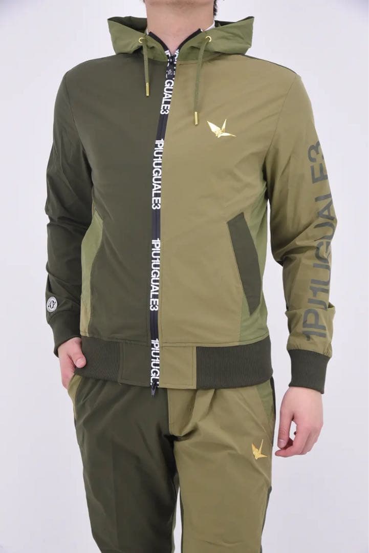 1piu 1uguale3 gold セットアップ