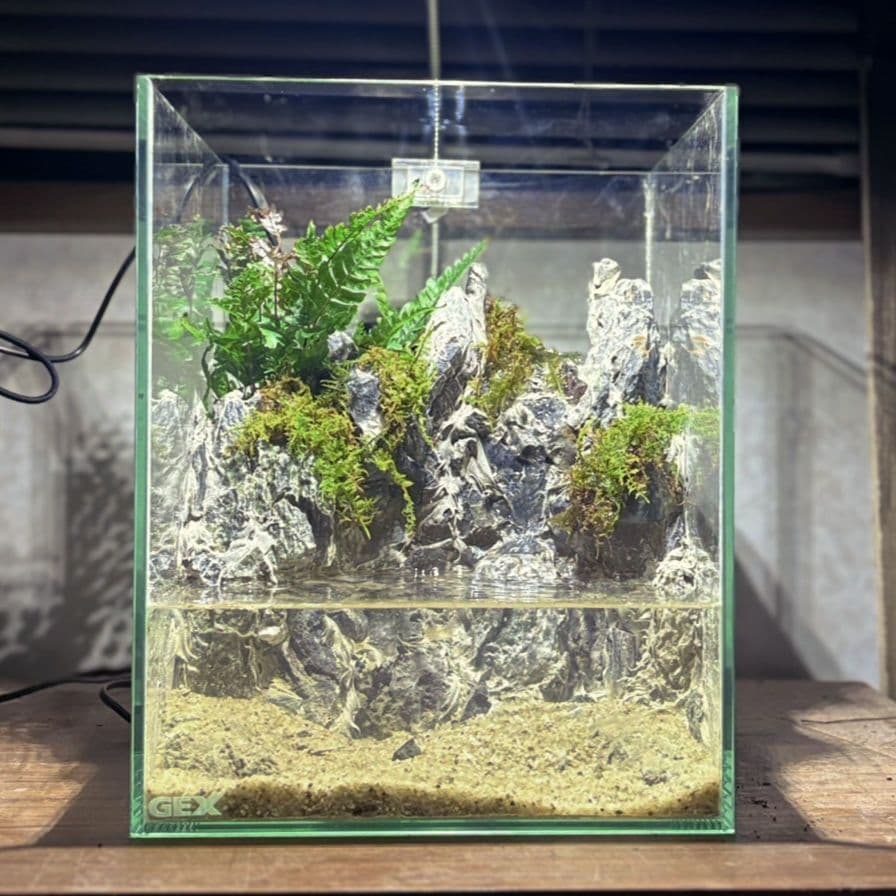 滝の流れるアクアテラリウム　No.1141