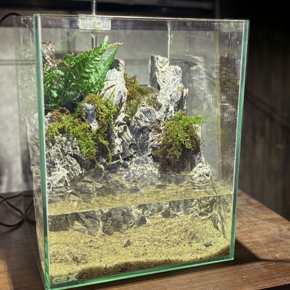 滝の流れるアクアテラリウム　No.1141