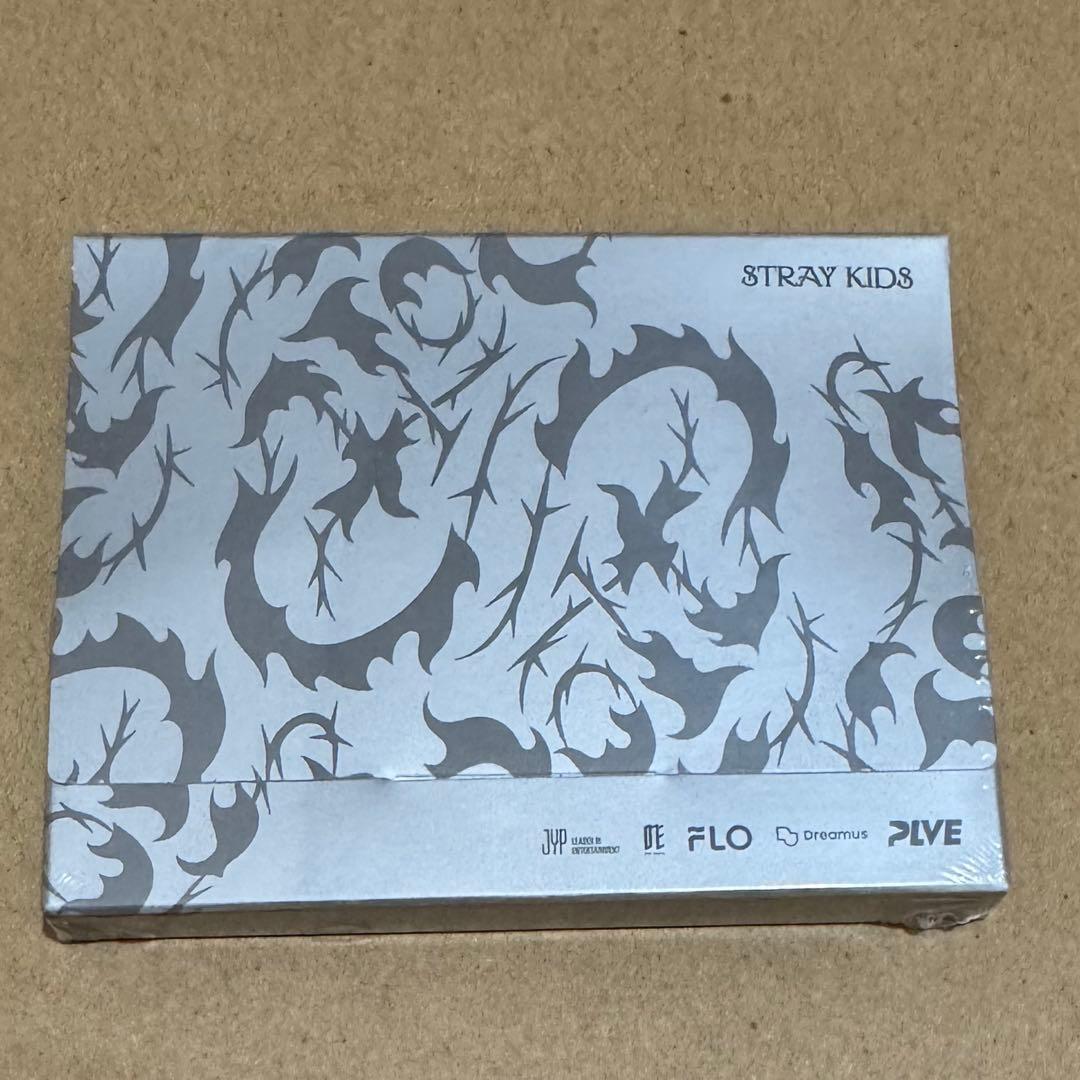 StrayKids スキズ DO IT プラットフォーム盤 新品未開封 12点