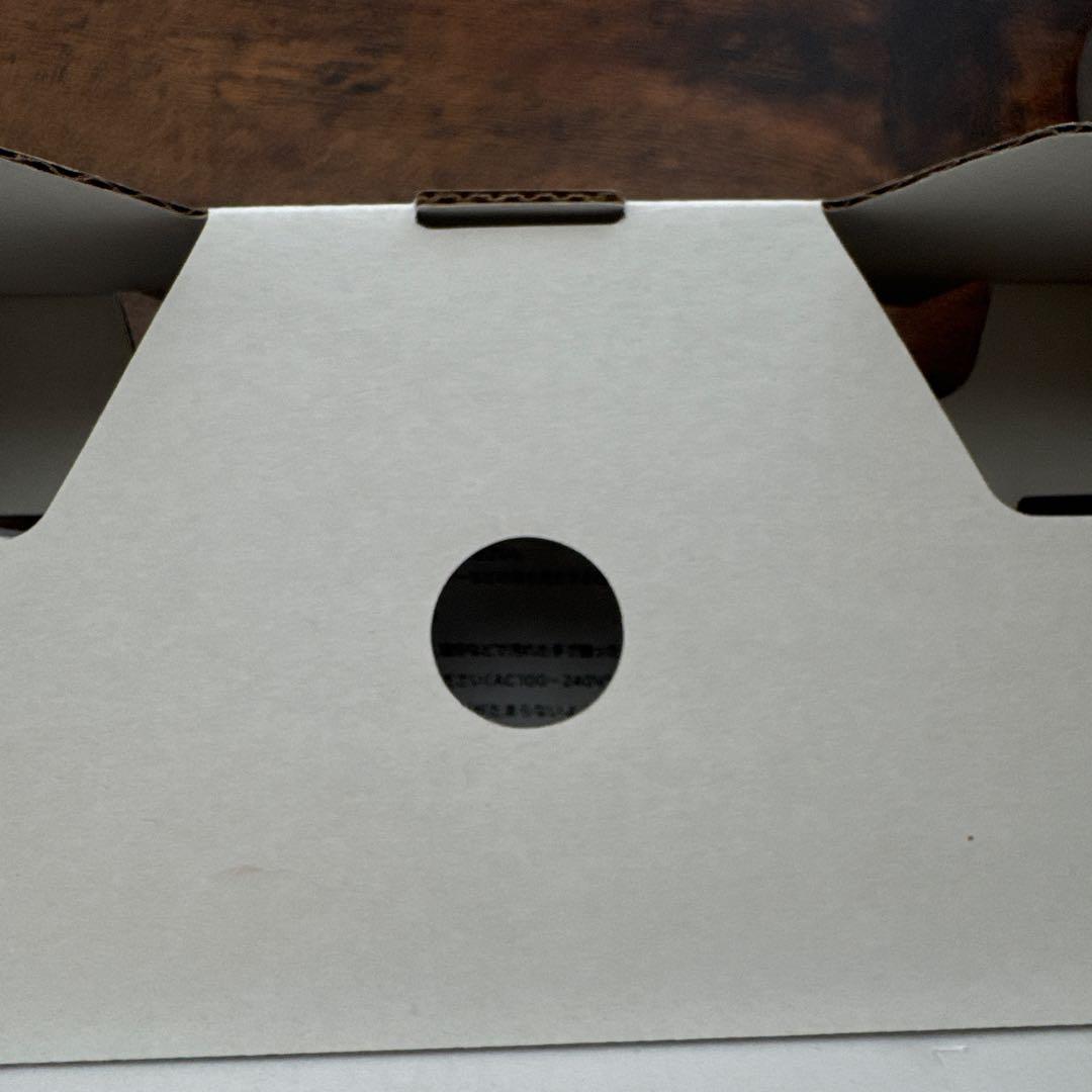 Nintendo Switch Liteターコイズ本体充電器付き