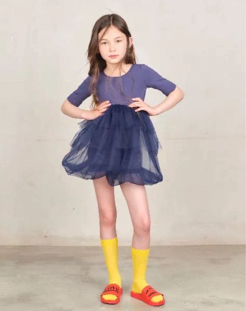 adgjmptwThe animals observatory ワンピース