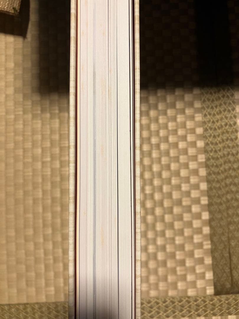 世界美術大全集 全17巻セット