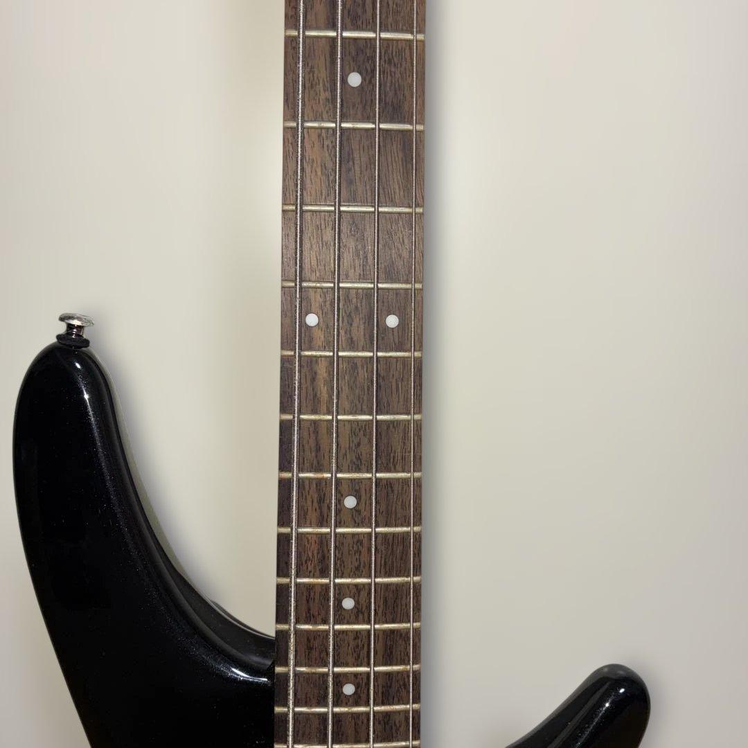 Ibanez SR300 SDGR エレキベース
