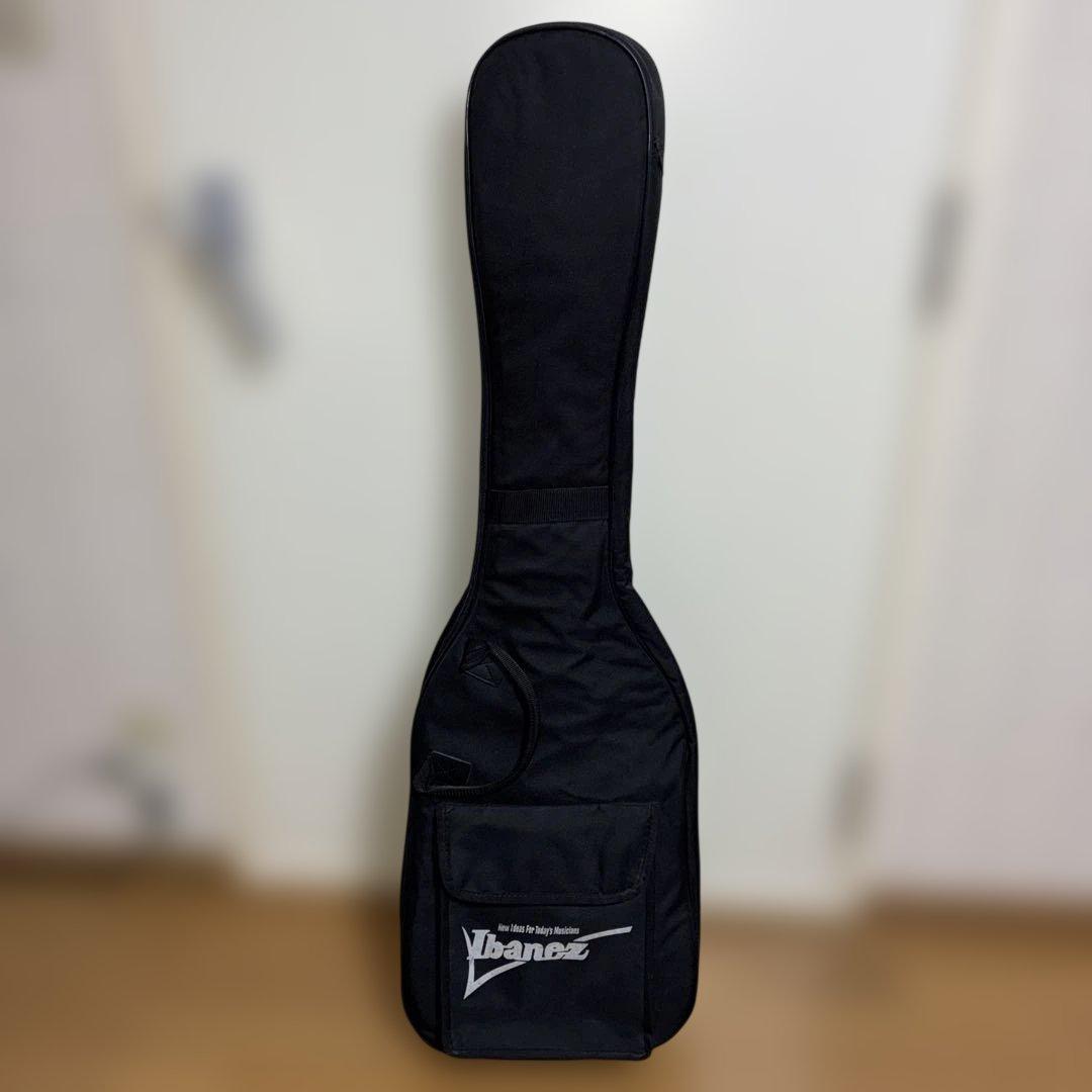 Ibanez SR300 SDGR エレキベース