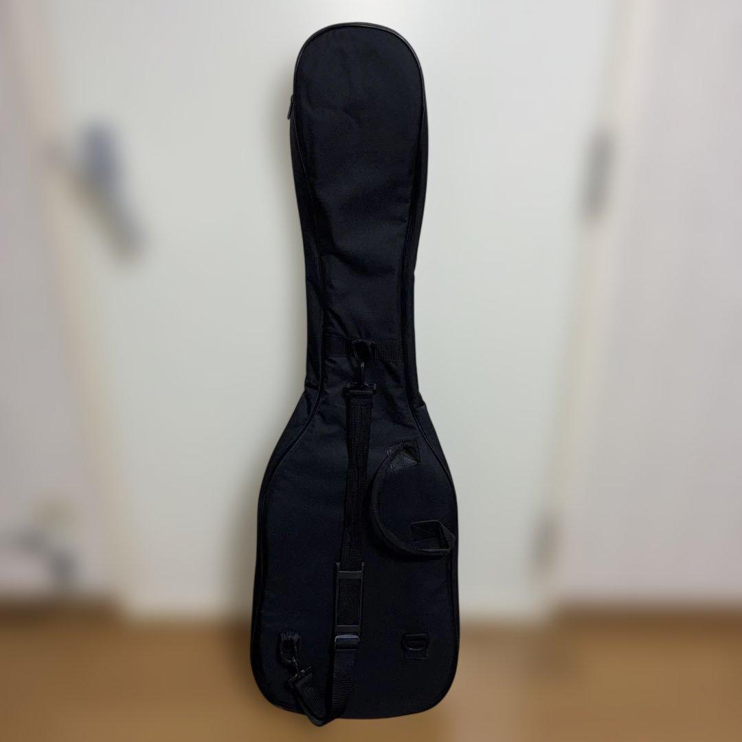 Ibanez SR300 SDGR エレキベース