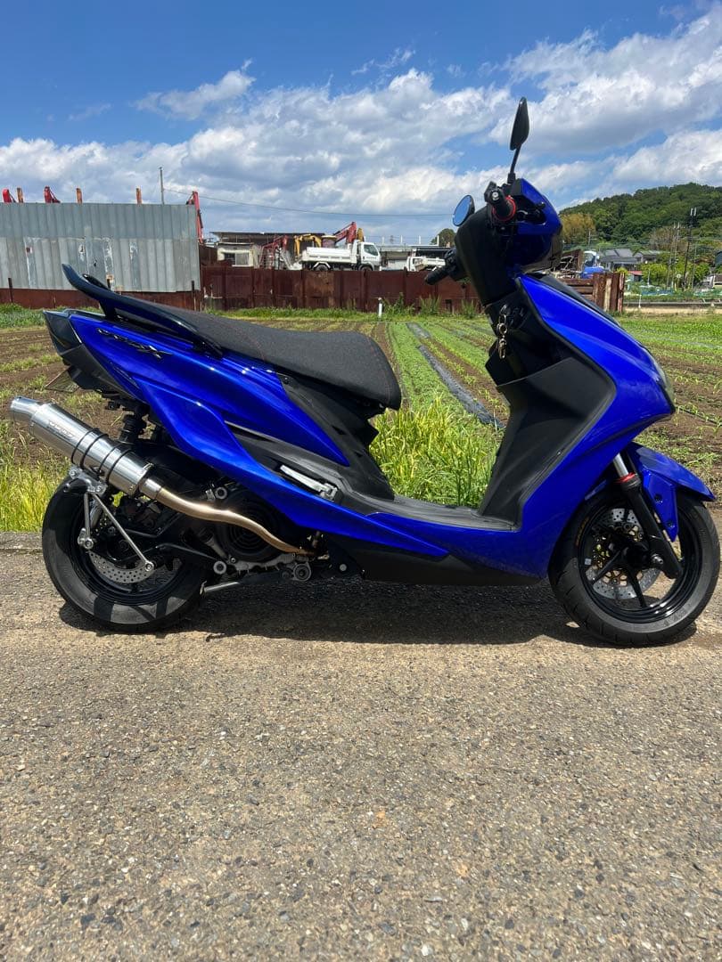 シグナス シグナスXウィンドジャマーズ スーパースネークコーンWJ-R