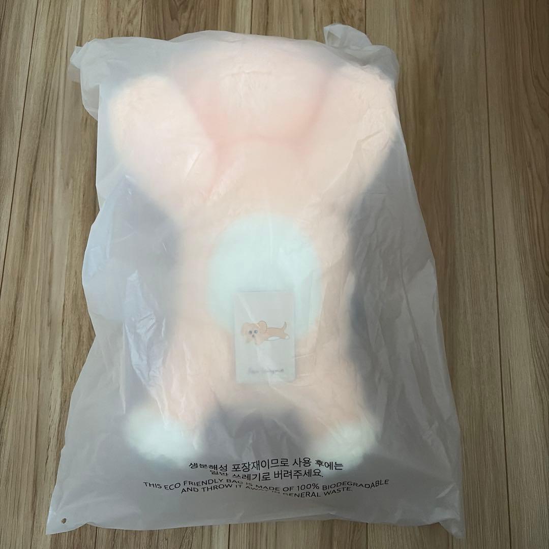 スンミン　celebrATE popup メンプロ パピーム　straykids