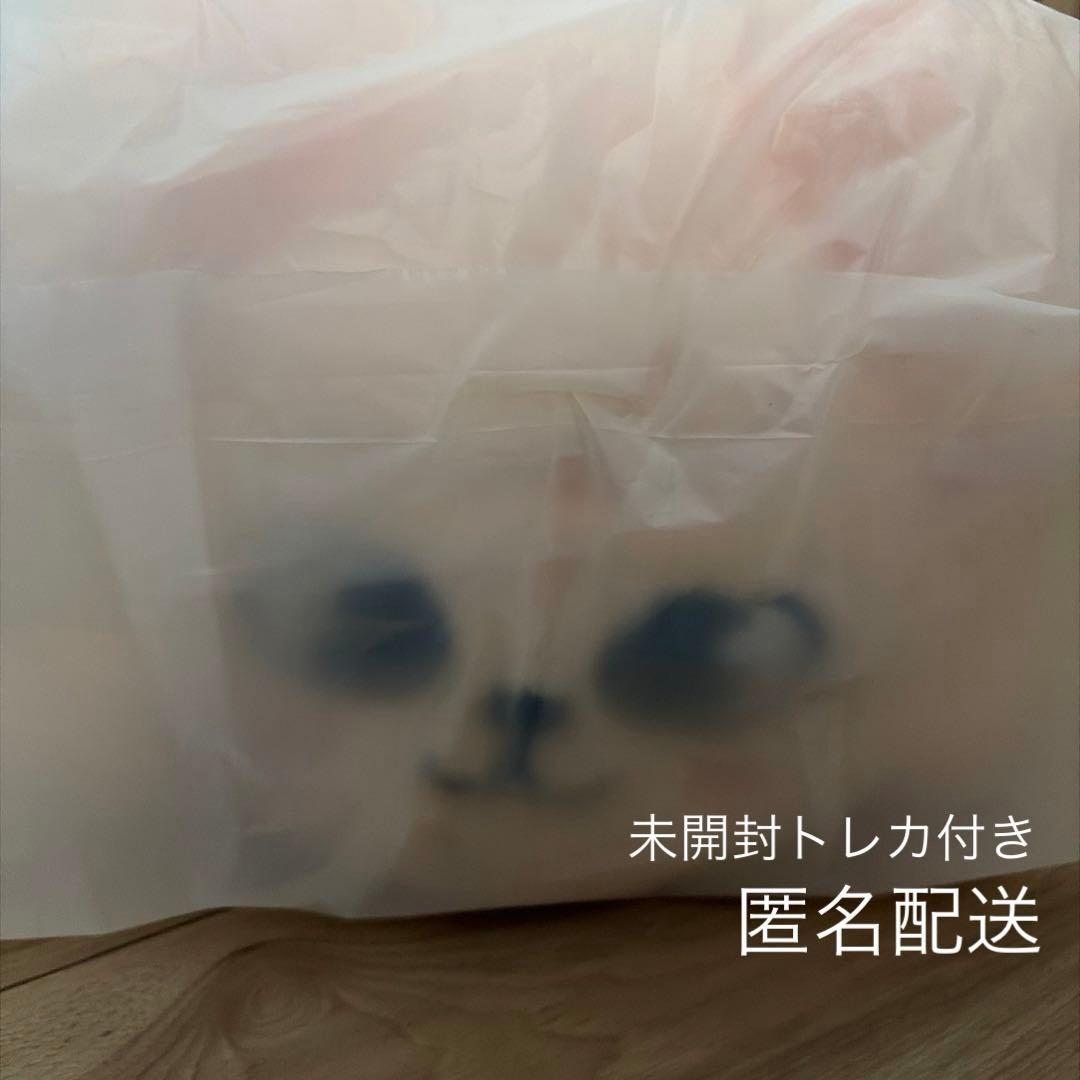 スンミン　celebrATE popup メンプロ パピーム　straykids