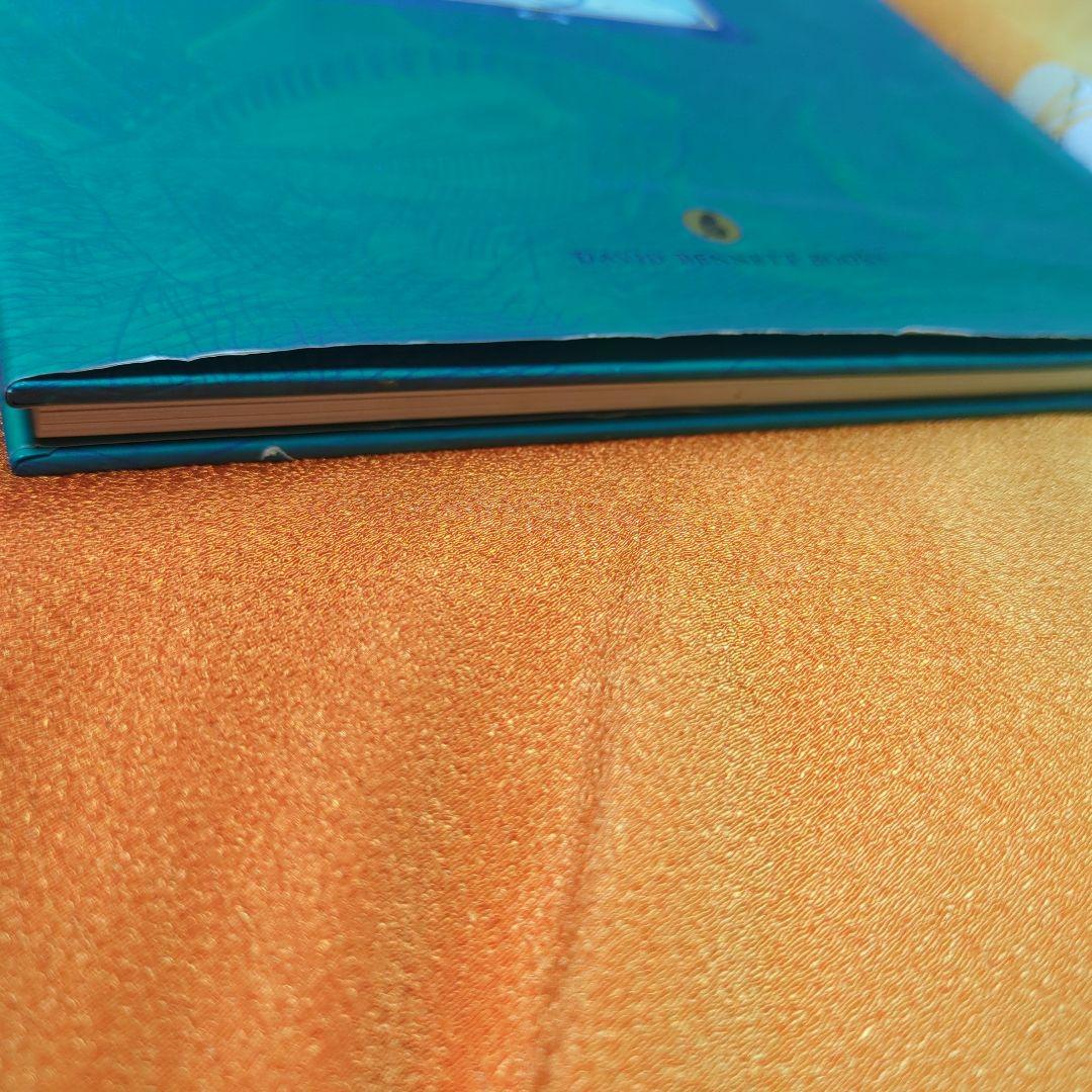 絵本・児童書 The adventures of Pinocchio