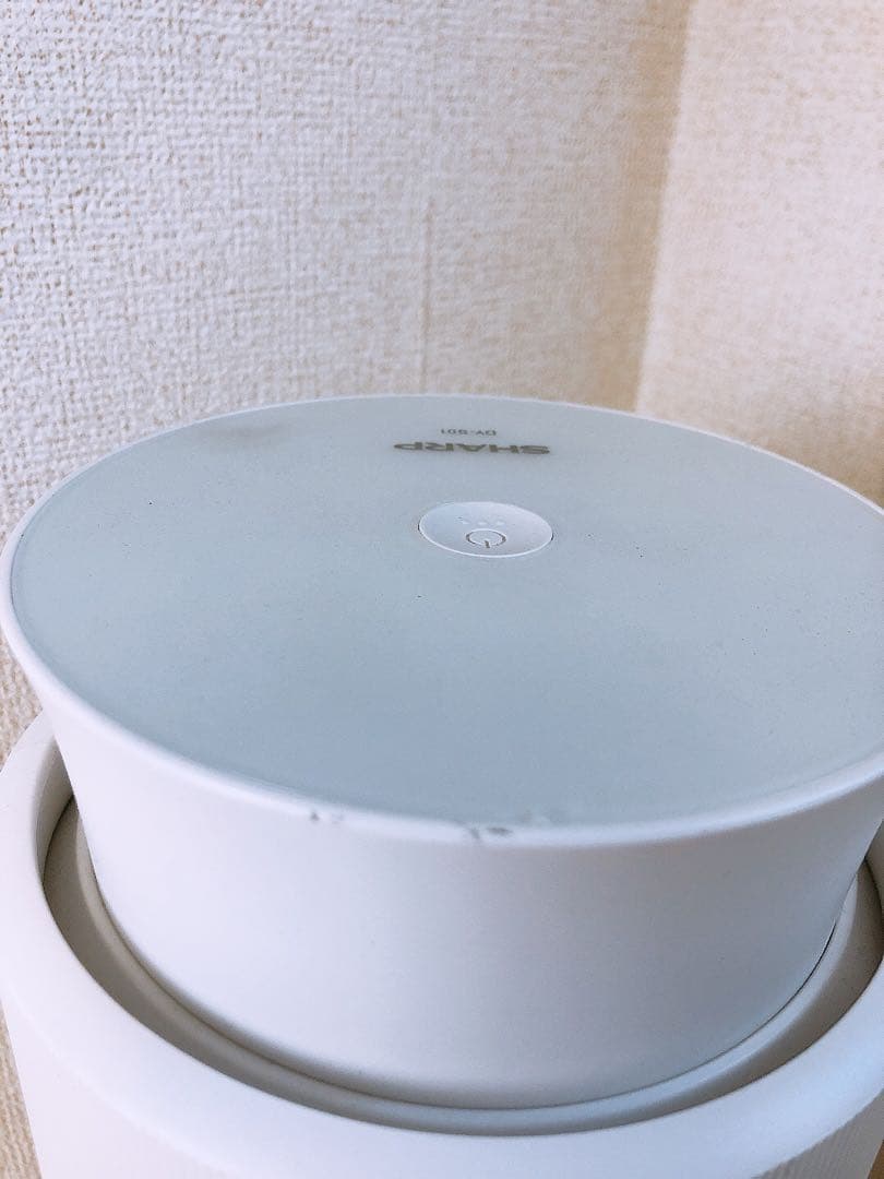 2023年製★SHARP シャープ 脱臭機 DY-S01-W 100V