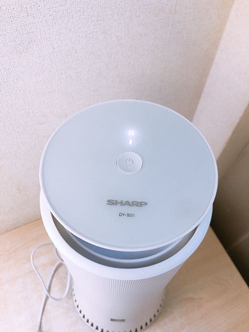 2023年製★SHARP シャープ 脱臭機 DY-S01-W 100V