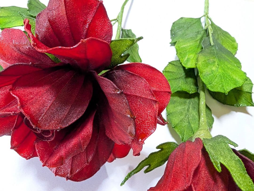 アメリカンフラワー ネモフィラアレンジメント