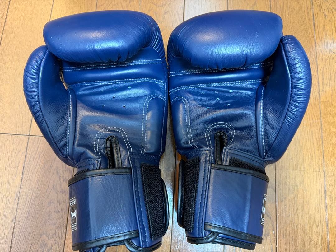 （唯一カラー！）TWINS SPECIAL キック・ボクシンググローブ 14oz