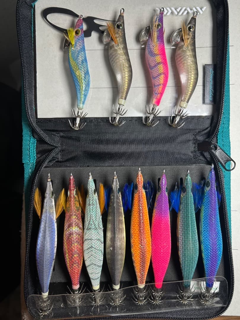 エギ 24個セット