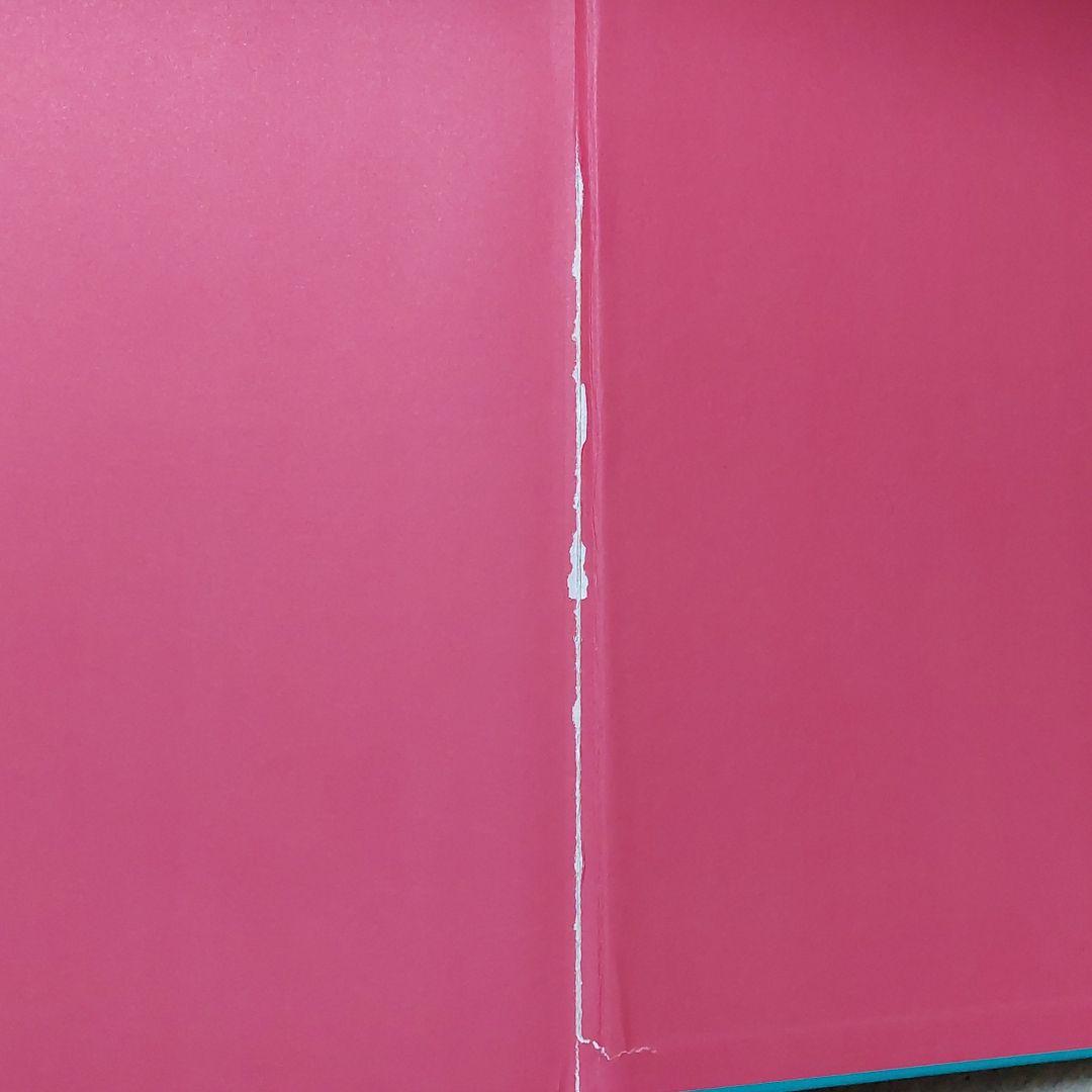 洋書 MICK ROCK  THE RISE OF DAVID BOWIE