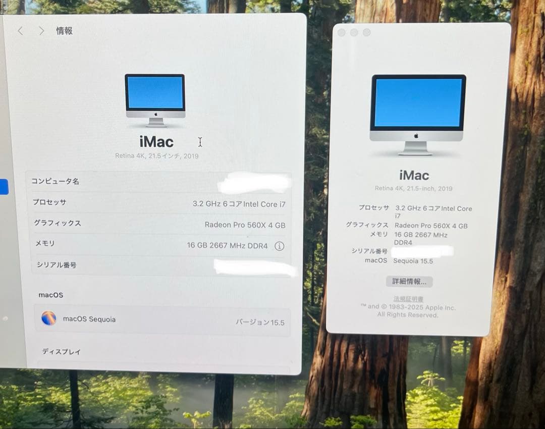 Apple iMac 21.5インチ 2019 32GB/1TB