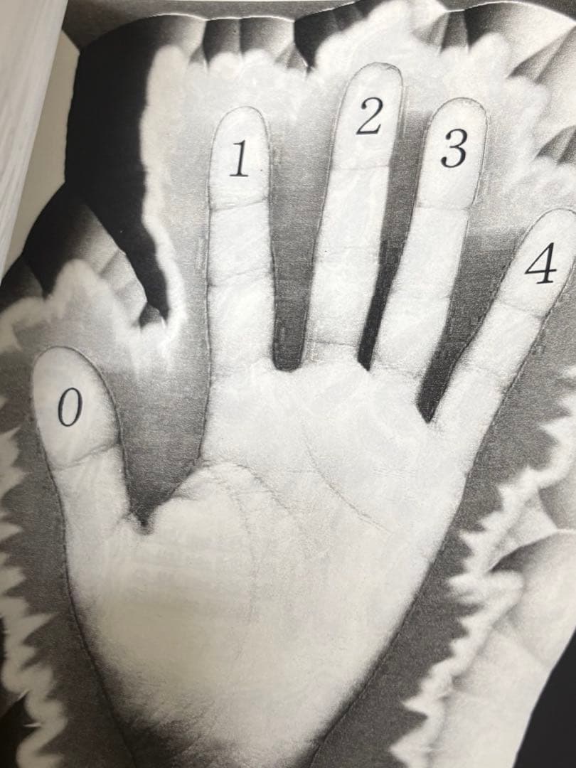 THE NEWSPAPER CD 魚雷