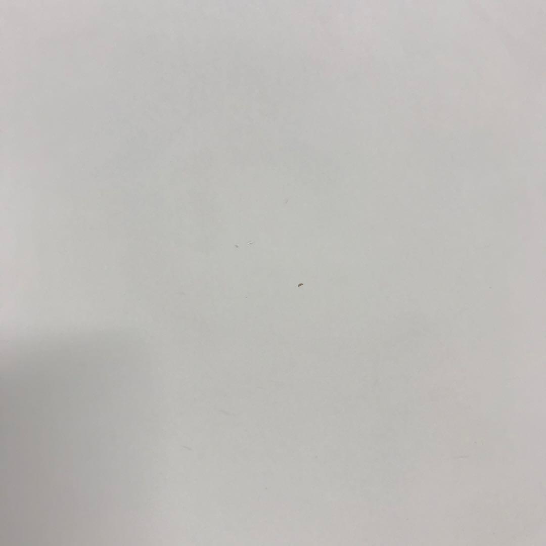 やや傷有　FRITZ HANSEN　セブンチェア　フリッツハンセン　ホワイト