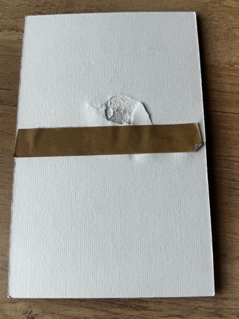 enoi マグネットジェル　プラチナマグネット