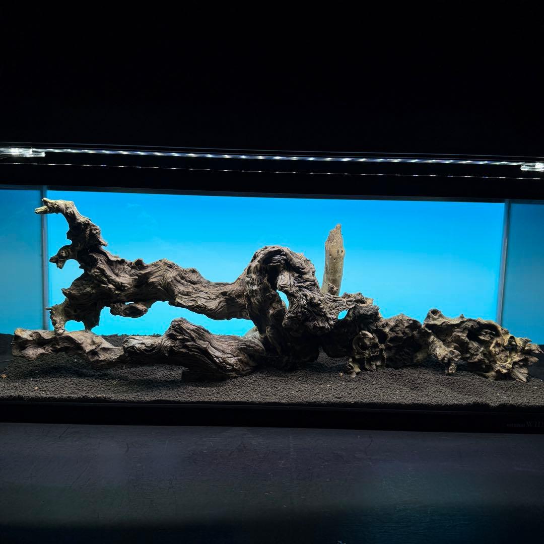 MJW-6812 「特大」ジンジャーウッド　90cm水槽用　天然流木3本セット