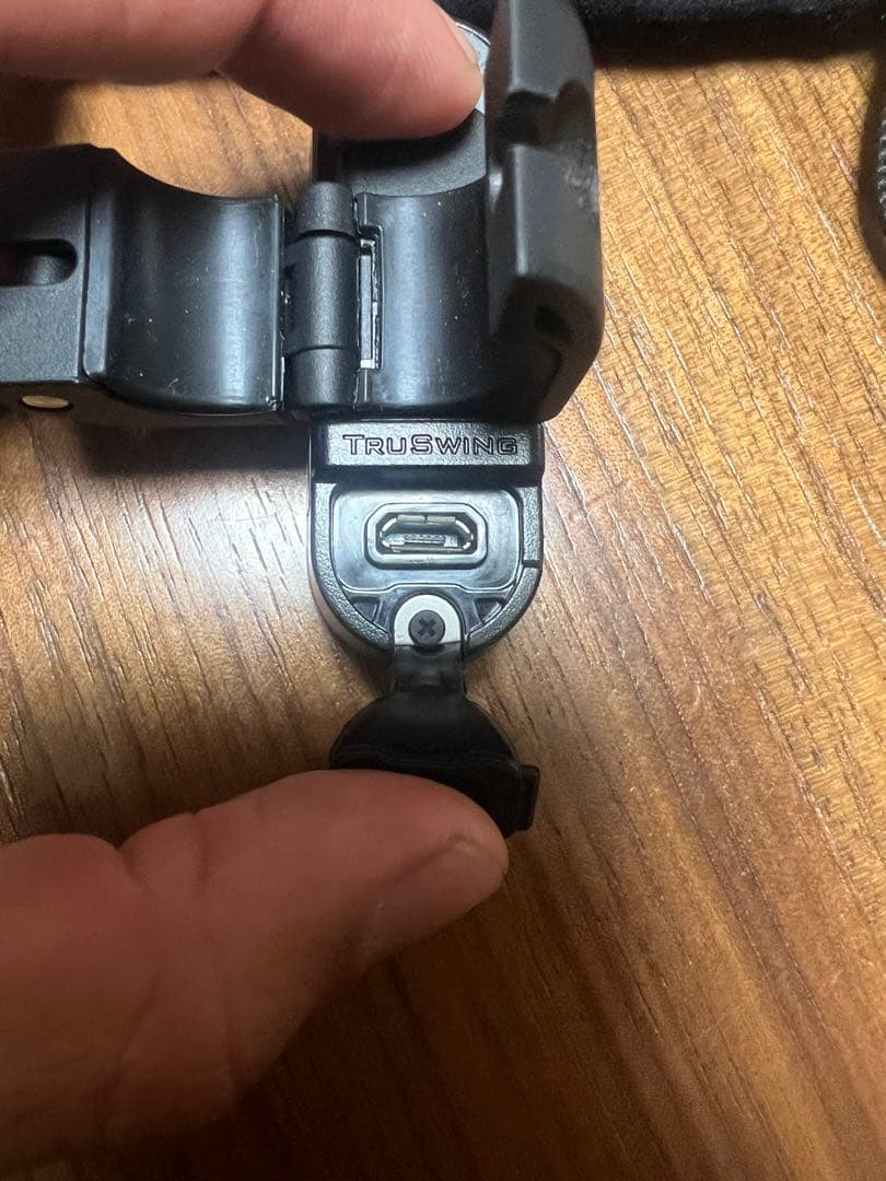 GARMIN ゴルフスイングチェッカー TRUSWING J 動作確認済み