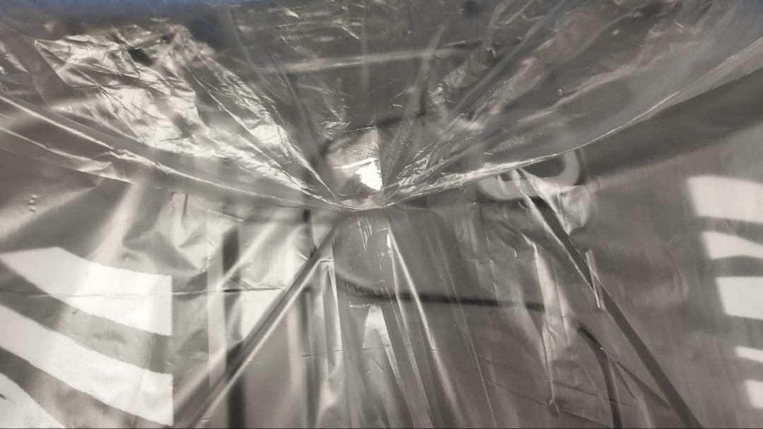 けものフレンズ ジャパリパーク折りたたみコンテナ シマウマもよう