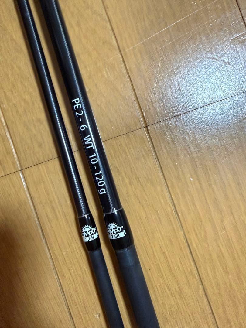 有識者会議  Fishman Brist Comodo 7.5H