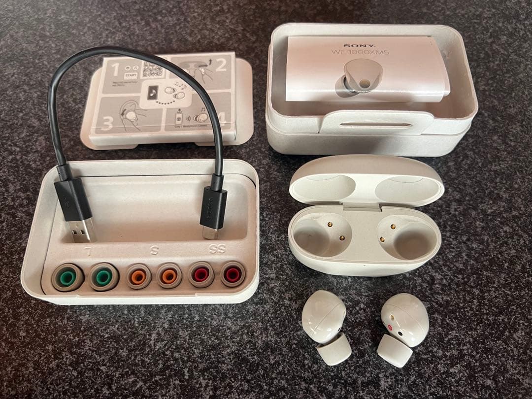ソニー WF-1000XM5 プラチナシルバー 付属品完備 SONY