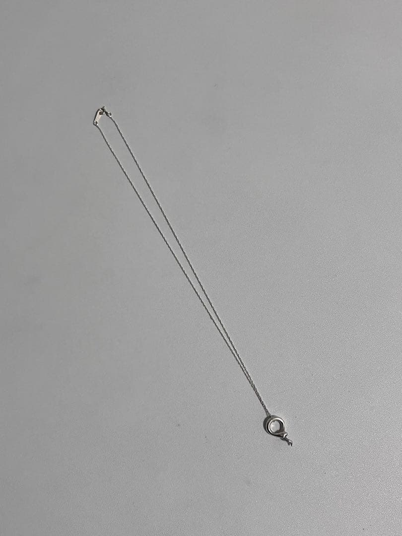 TIFFANY&Co.スネークネックレス