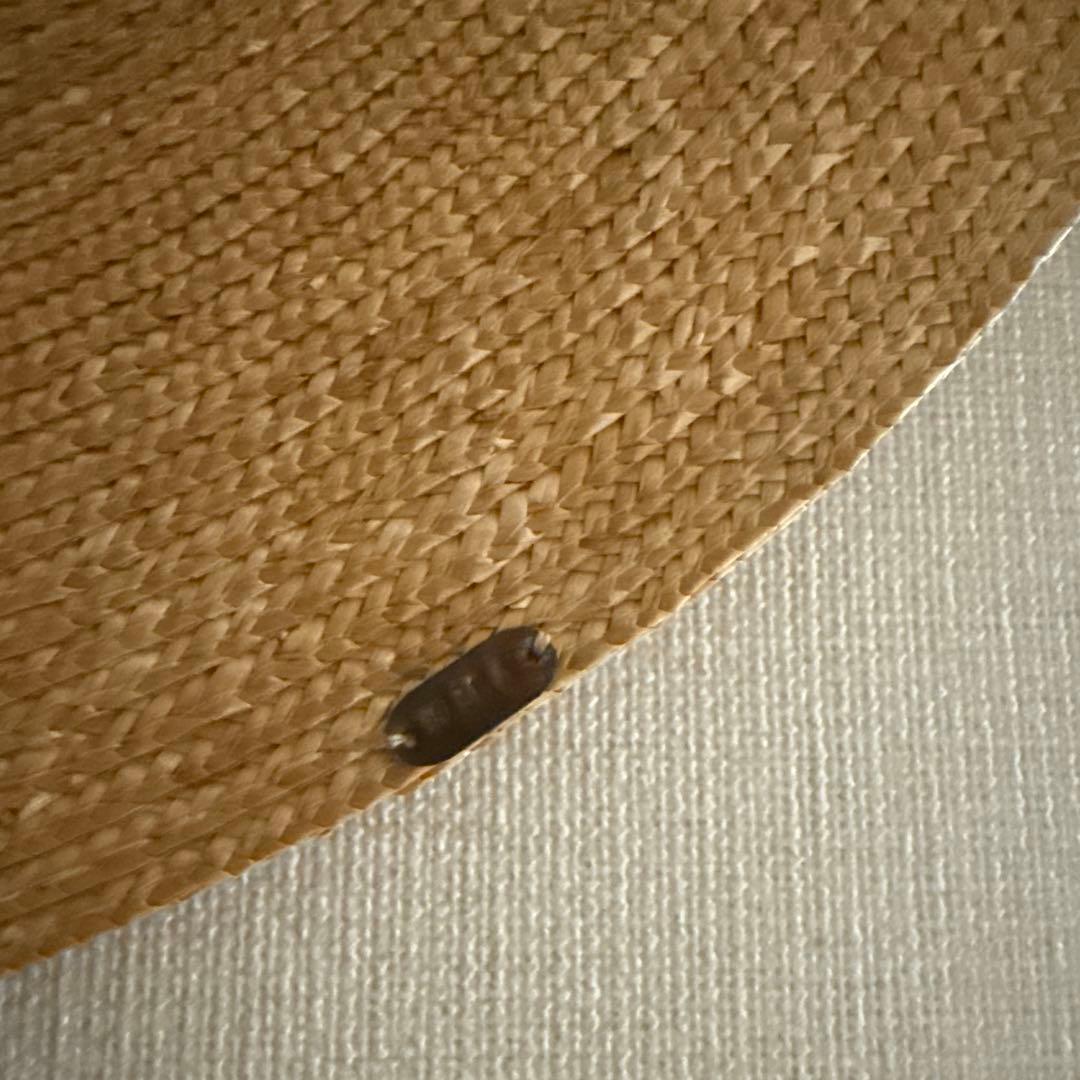 wicagrocery High Crown Long Brim 麦わら帽子