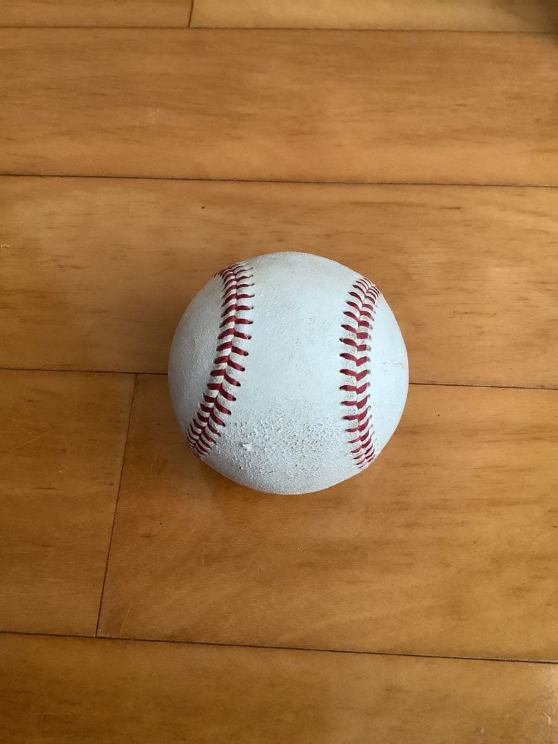 SSK テクニカルピッチ TECHNICAL PITCH 練習用ボール