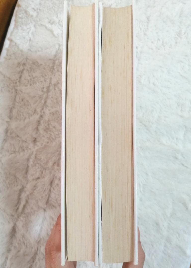 ドイツ：ポストカード / 私製ハガキ カタログ 2巻セット