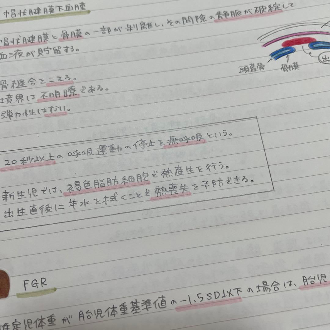 助産師学校セット　まとめノート