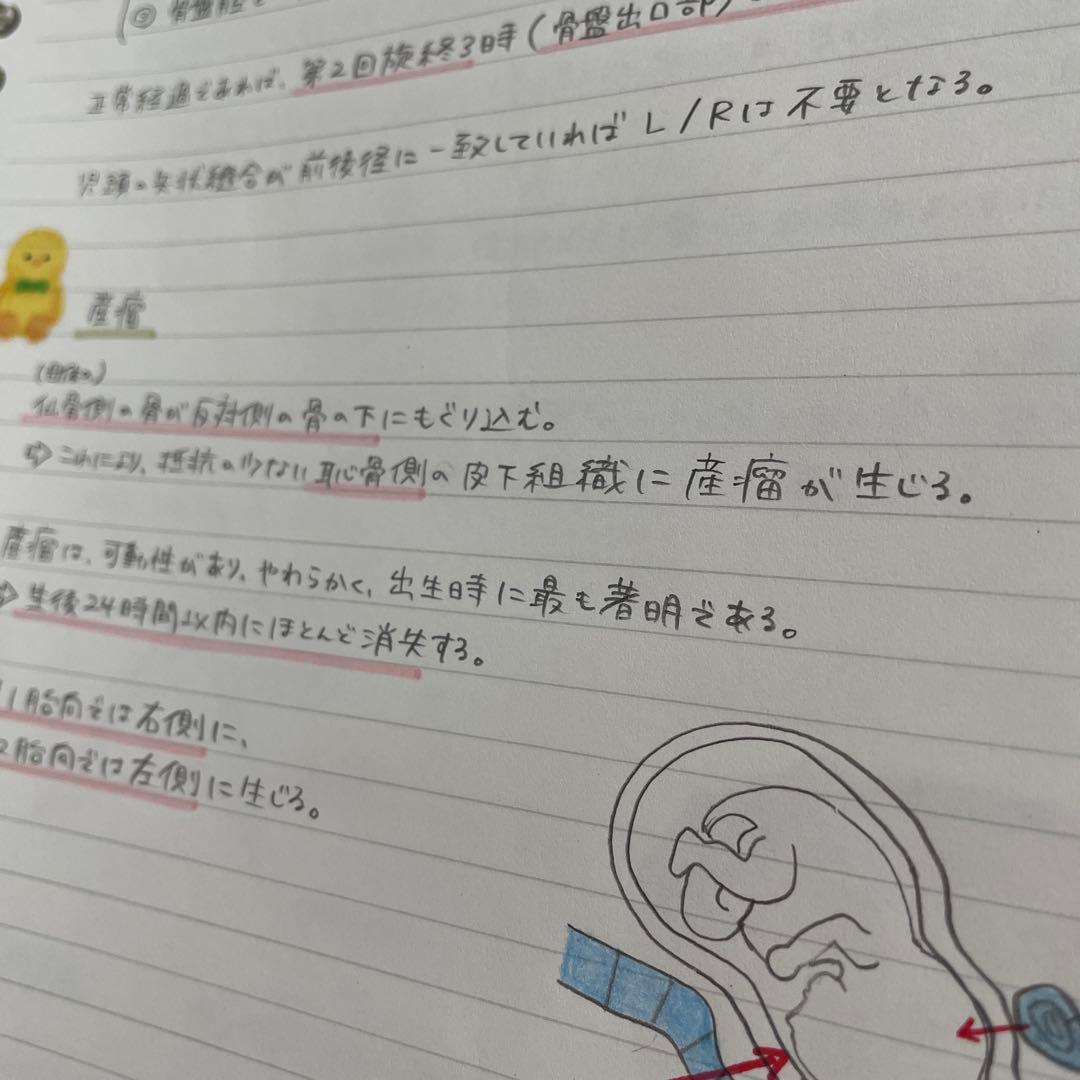 助産師学校セット　まとめノート