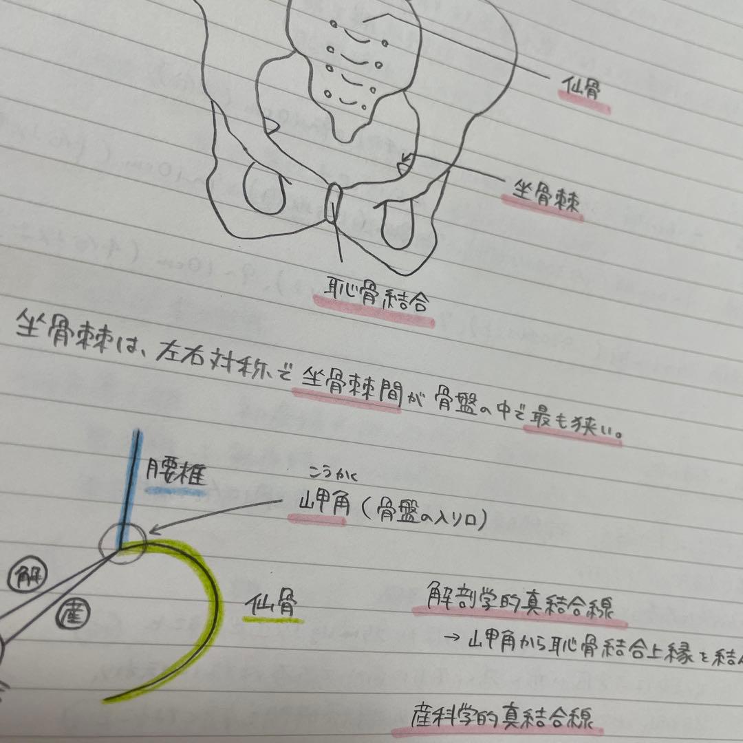 助産師学校セット　まとめノート