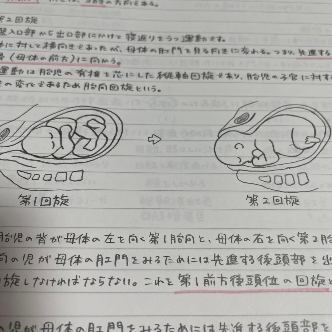 助産師学校セット　まとめノート