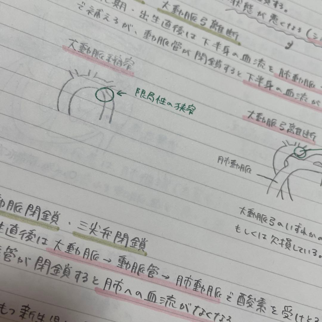 助産師学校セット　まとめノート