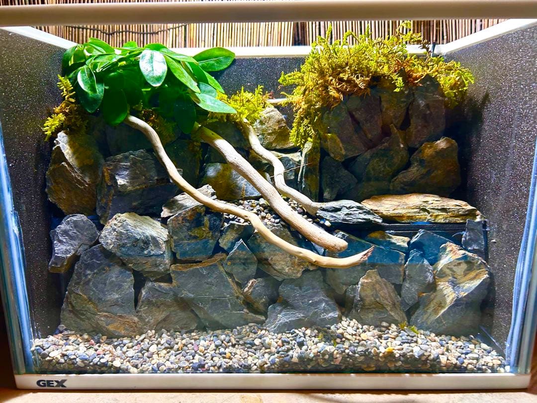 水の流れる滝テラリウム水槽　40サイズ