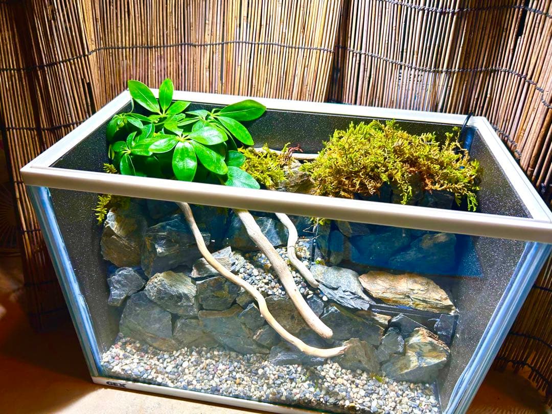 水の流れる滝テラリウム水槽　40サイズ