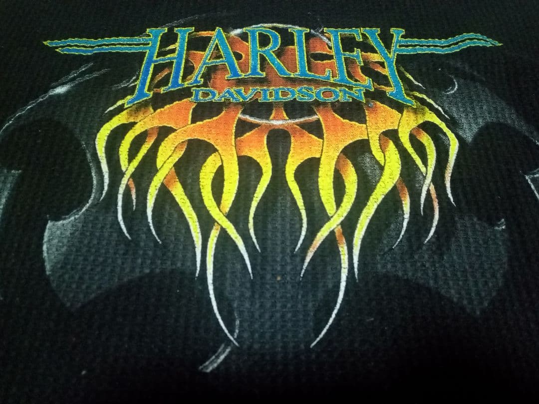 ハーレーダビッドソン　長袖　フレイム